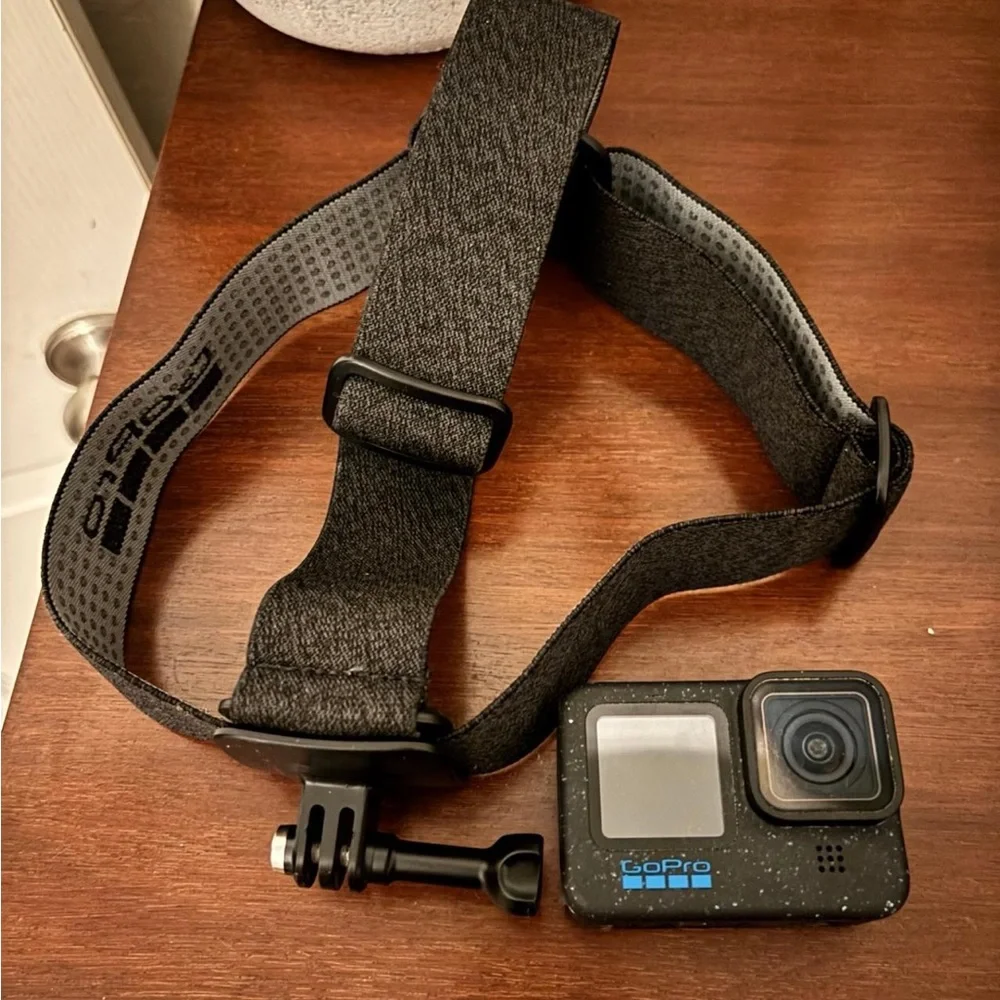 GoPro Black and Blue Webcam